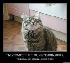 Інна Фадєєва фотография #38 (источник - https://vk.com/id106105434)