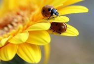 Фотография Мясниковой Юлии