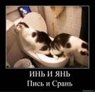 Славік Головаш фотография #25 (источник - https://vk.com/id143091780)