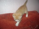 Маріанна Федюк фотография #39 (источник - https://vk.com/id73902237)