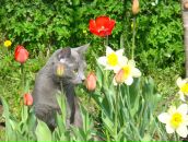 Фотография Мельчиной Светланы