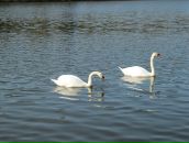 Фотография Мельниковой Надежды