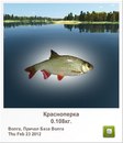 Віталій Холодило фотография #13 (источник - https://vk.com/id153465893)