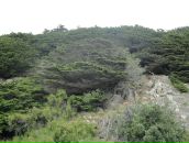 Иван Егоров фотография #50 (источник - https://vk.com/id3358751)