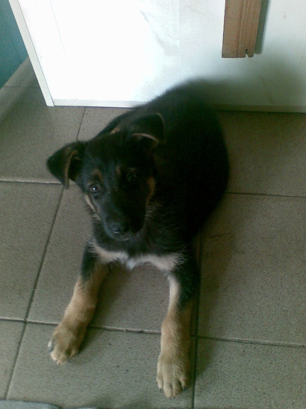 Володимир Притула фотография #16