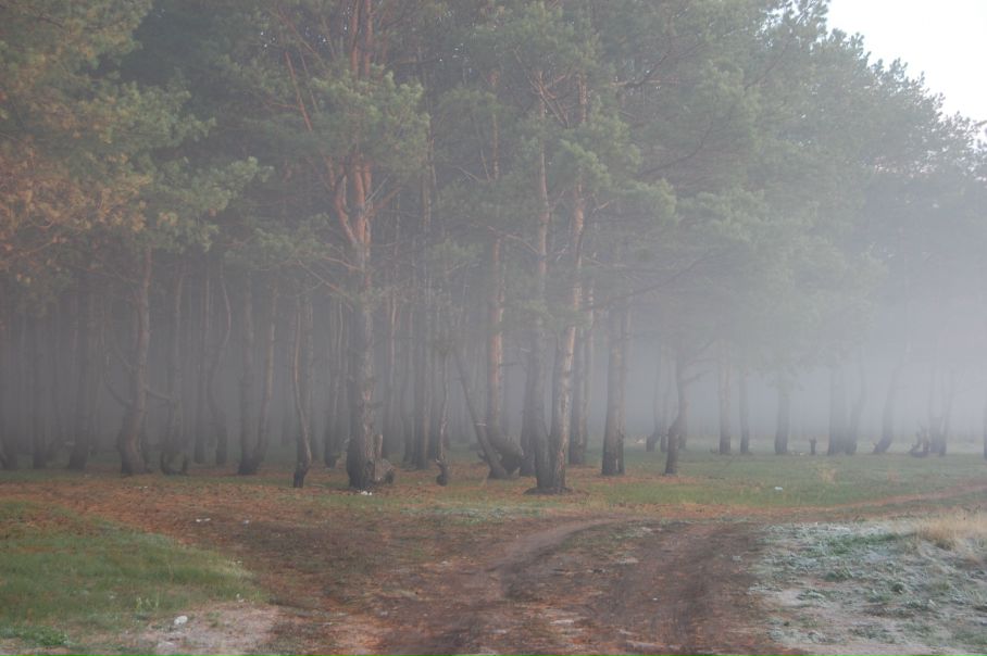 Михаил Яковлев фото №22