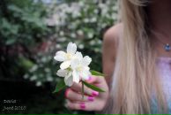 Фотография Ивановой Дарьи