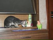 Фотография Кувшиновой Екатерины