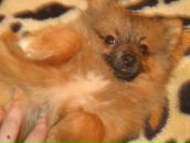 Фотография Кравцовой Ирины