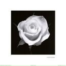 Фотография Грицковой Олеси