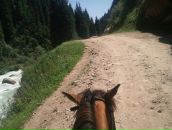 Roma Vodka фотография #40 (источник - https://vk.com/id2944570)