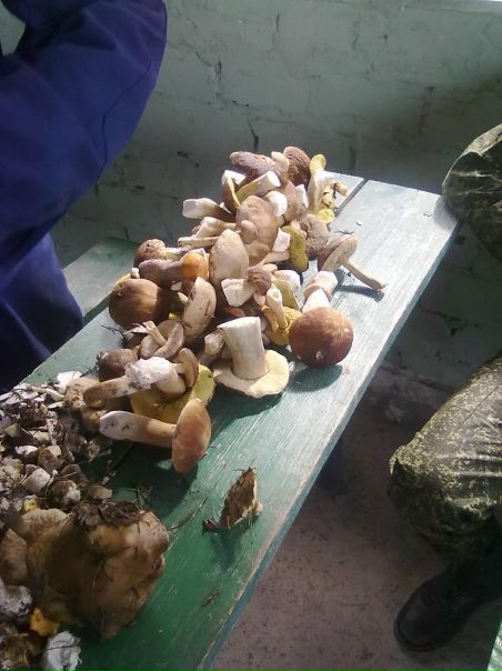 Иван Кравченя фото №41