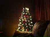 Арц Аветисян фотография #18 (источник - https://vk.com/id3086595)