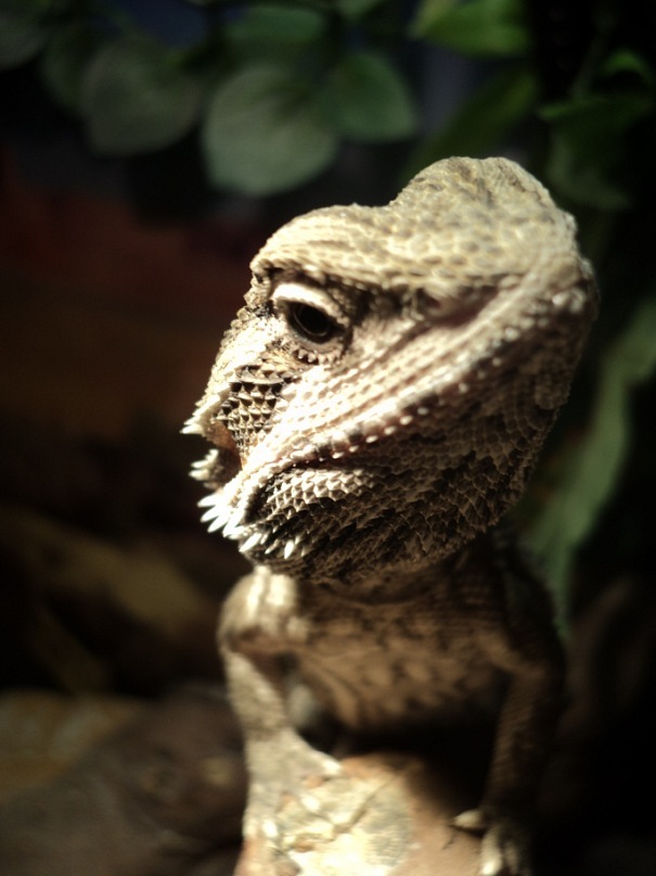 Илья Баранов фотография #39