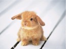 Сергій Прокопишин фотография #26 (источник - https://vk.com/id66292079)