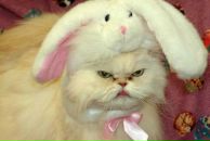 Фотография Савиновой Алины