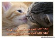 Фотография Солодовниковой Натальи