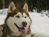 Дима Пилипчук фотография #20 (источник - https://vk.com/id20813129)