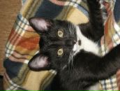 Фотография Давыдовой-Ларионовой Александры