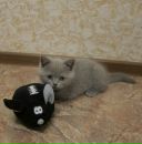 Фотография Минеевой Светланы