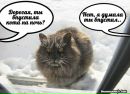 Фотография Сизова Романа