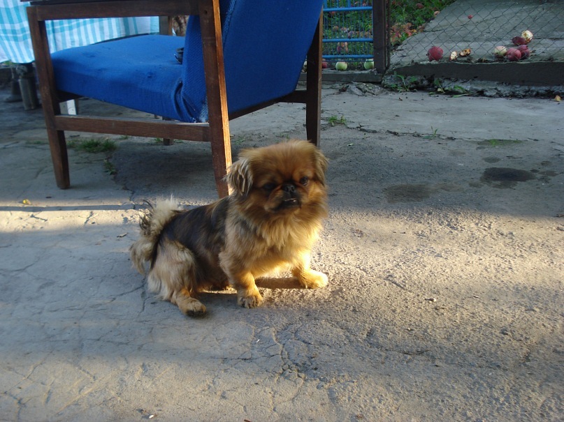 Елена Павленко фотография #24