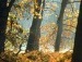 Вікторія Ужва фотография #31 (источник - https://vk.com/id74451842)