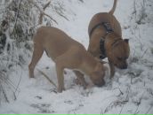 Серий Челядін фотография #28 (источник - https://vk.com/id7693308)