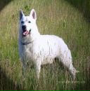 Ярик Сусляк фотография #26 (источник - https://vk.com/id6677792)