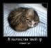  фотография #29