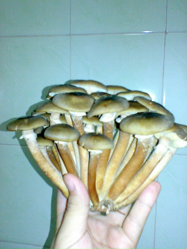 Dmitry Tolstenko фотография #22