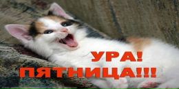 Іра Ващинська фотография #50 (источник - https://vk.com/id64907123)