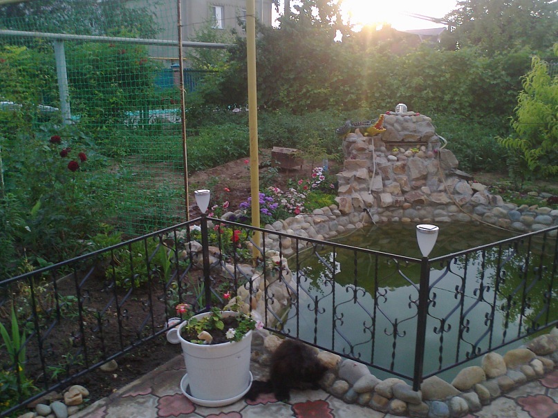 Виктор Черкасенко фотография #19