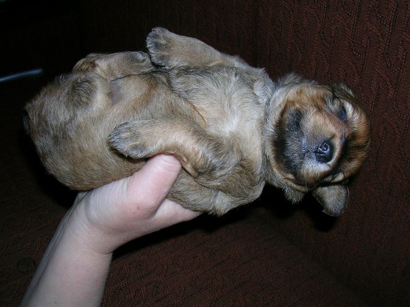 Дмитрий Бурлаков фотография #18