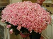 Оля Бровдій фотография #35 (источник - https://vk.com/id19600204)