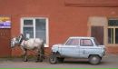Dinu :) фотография #3 (источник - https://vk.com/id116527471)