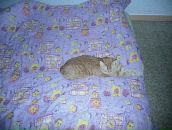 Вера Петровец фотография #29 (источник - https://vk.com/id36439799)