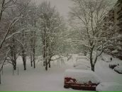 Фотография Цырульниковой Дарьи