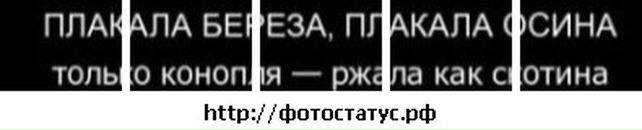 Славік Трофимлюк фотография #14 (источник - https://vk.com/id16390422)
