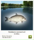 Роман Орловский фотография #44 (источник - https://vk.com/id2771360)