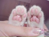 Фотография Бурак Марии