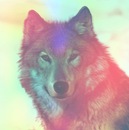 Фотография Усенко Павла