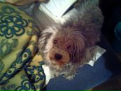 Фотография Бороненко Александра