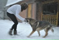 Фотография Погорелко Людмилы