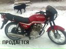 Діанка Попович фотография #28 (источник - https://vk.com/id134319571)