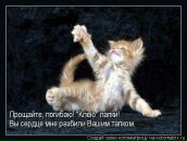 Фотография Половинки Михаила