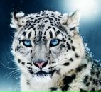 Фотография Филякова Максима