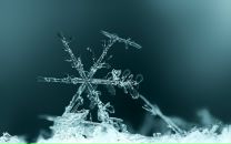 Фотография Вьялкиной Елены