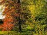 Андрій Бричковський фотография #14 (источник - https://vk.com/id138198069)