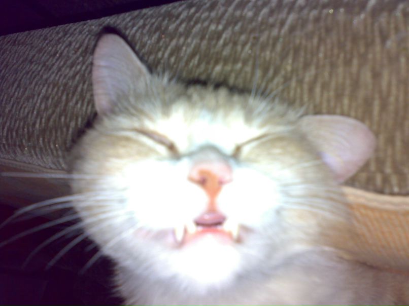 Игорь Итакаев фотография #27